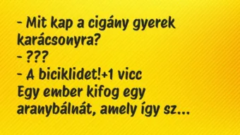 Vicc: – Mit kap a cigány gyerek karácsonyra?
– ???
– A… Vicc: – Mit kap a cigány gyerek karácsonyra?
– ???
– A…