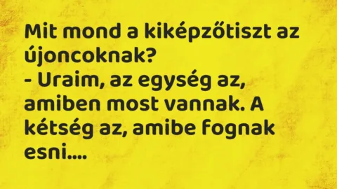 Vicc: Mit mond a kiképzőtiszt az újoncoknak?

– Uraim, az egység az,…