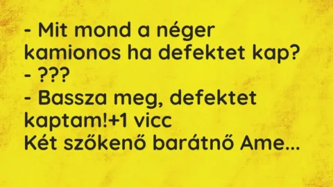 Vicc: – Mit mond a néger kamionos ha defektet kap?

– ???

– Bassza…