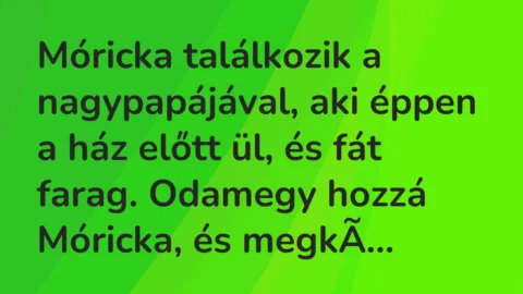 Vicc: Móricka találkozik a nagypapájával, aki éppen a ház előtt ül, és fát farag.