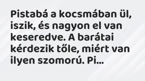 Vicc: Pistabá a kocsmában ül, iszik, és nagyon el van keseredve… Vicc: Pistabá a kocsmában ül, iszik, és nagyon el van keseredve…