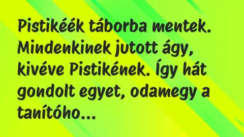 Vicc: Pistikéék táborba mentek. Mindenkinek jutott ágy, kivéve Pistikének…. Vicc: Pistikéék táborba mentek. Mindenkinek jutott ágy, kivéve Pistikének….