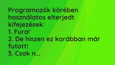Vicc: Programozók körében használatos elterjedt kifejezések:

1….