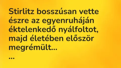 Vicc: Stirlitz bosszúsan vette észre az egyenruháján éktelenkedő nyálfoltot,… Vicc: Stirlitz bosszúsan vette észre az egyenruháján éktelenkedő nyálfoltot,…