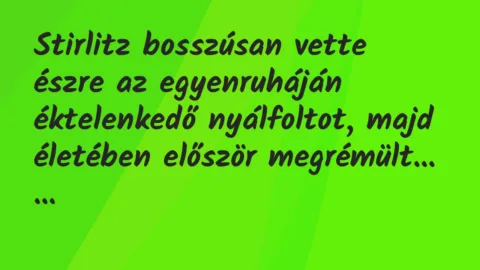 Vicc: Stirlitz bosszúsan vette észre az egyenruháján éktelenkedő nyálfoltot,…