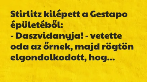 Vicc: Stirlitz kilépett a Gestapo épületéből:

– Daszvidanyja! – vetette…