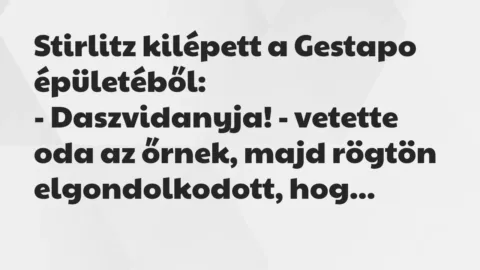Vicc: Stirlitz kilépett a Gestapo épületéből:

– Daszvidanyja! – vetette…