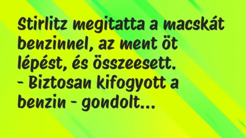 Vicc: Stirlitz megitatta a macskát benzinnel, az ment öt lépést, és… Vicc: Stirlitz megitatta a macskát benzinnel, az ment öt lépést, és…