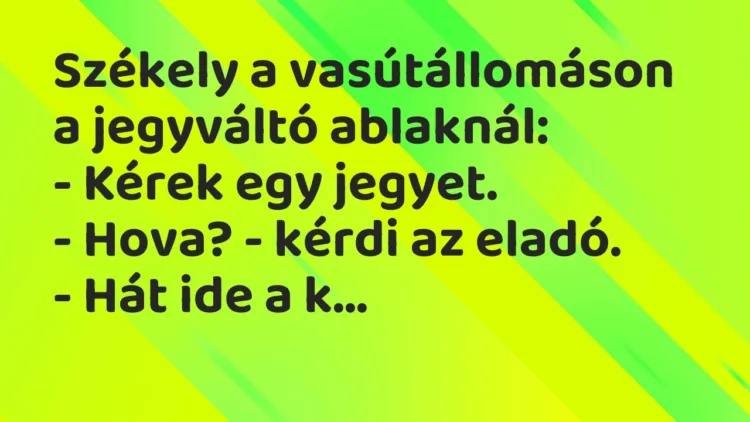 Vicc: Székely a vasútállomáson a jegyváltó ablaknál:
– Kérek egy… Vicc: Székely a vasútállomáson a jegyváltó ablaknál:
– Kérek egy…