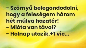 Vicc: – Szörnyű belegondodolni, hogy a feleségem három hét múlva…
