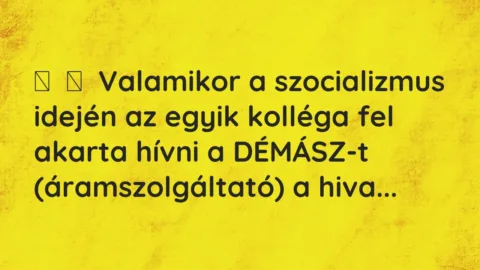 Vicc: 
	    	    Valamikor a szocializmus idején az egyik kolléga fel akarta…