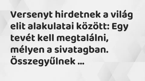 Vicc: Versenyt hirdetnek a világ elit alakulatai között: Egy tevét kell…