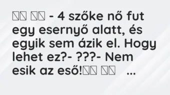Viccek:
– 4 szőke nő fut egy esernyő alatt, és egyik sem … Viccek:
– 4 szőke nő fut egy esernyő alatt, és egyik sem …