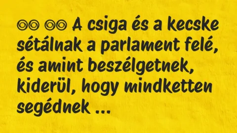 Viccek: 
		  
		  A csiga és a kecske sétálnak a parlament felé, és…