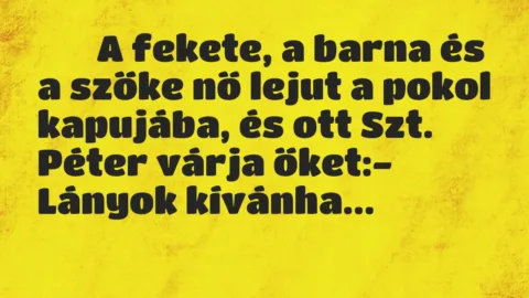 Viccek: 
		  
		  A fekete, a barna és a szőke nő lejut a pokol…