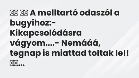 Viccek: 
		  
		  A melltartó odaszól a bugyihoz:-…