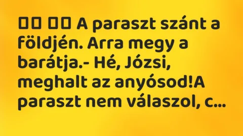 Viccek: 
		  
		  A paraszt szánt a földjén. Arra megy a…