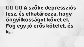 Viccek:
A szőke depressziós lesz, és elhatározza, hogy… Viccek:
A szőke depressziós lesz, és elhatározza, hogy…