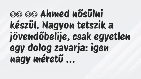 Viccek: 
		  
		  Ahmed nősülni készül. Nagyon tetszik a…