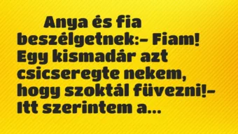 Viccek:
Anya és fia beszélgetnek:- Fiam! Egy kismadár… Viccek:
Anya és fia beszélgetnek:- Fiam! Egy kismadár…
