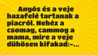 Viccek: 
		  
		  Anyós és a veje hazafelé tartanak a piacról….