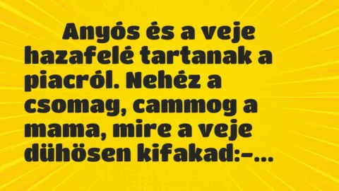 Viccek: 
		  
		  Anyós és a veje hazafelé tartanak a piacról….