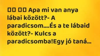Viccek: 
		  
		  Apa mi van anya lábai között?- A…