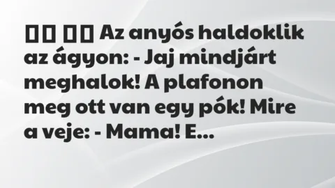 Viccek: 
		  
		  Az anyós haldoklik az ágyon: – Jaj mindjárt…