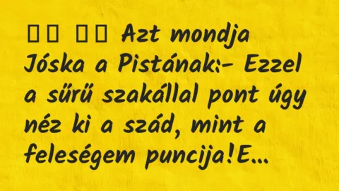 Viccek:
Azt mondja Jóska a Pistának:- Ezzel a sűrű… Viccek:
Azt mondja Jóska a Pistának:- Ezzel a sűrű…
