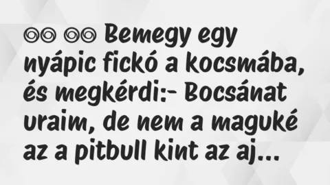 Viccek: 
		  
		  Bemegy egy nyápic fickó a kocsmába, és…