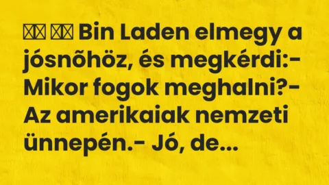 Viccek: 
		  
		  Bin Laden elmegy a jósnõhöz, és megkérdi:-…