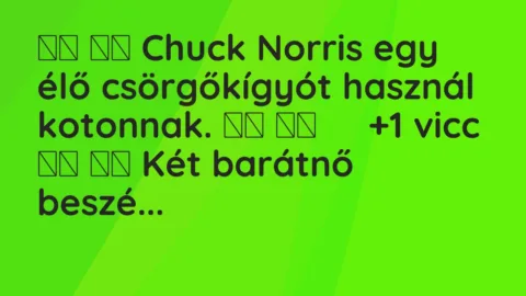 Viccek: 
		  
		  Chuck Norris egy élő csörgőkígyót használ…