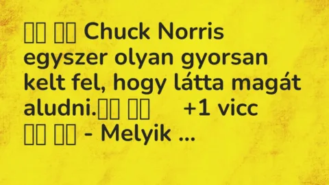 Viccek: 
		  
		  Chuck Norris egyszer olyan gyorsan kelt fel, hogy…