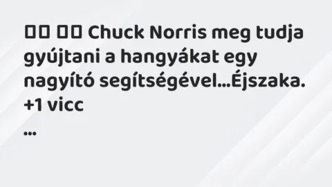 Viccek: 
		  
		  Chuck Norris meg tudja gyújtani a hangyákat egy…