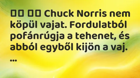 Viccek: 
		  
		  Chuck Norris nem köpül vajat. Fordulatból…