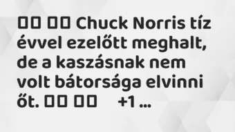 Viccek: 
		  
		  Chuck Norris tíz évvel ezelőtt meghalt, de a…