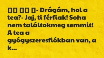 Viccek:
- Drágám, hol a tea?- Jaj, ti férfiak! Soha … Viccek:
- Drágám, hol a tea?- Jaj, ti férfiak! Soha …