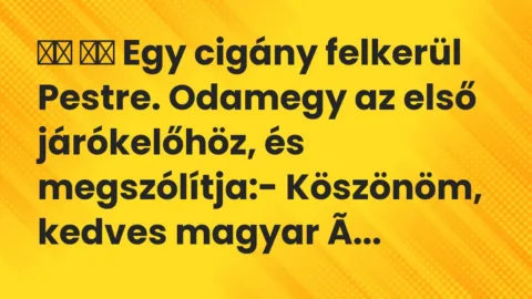 Viccek: 
		  
		  Egy cigány felkerül Pestre. Odamegy az első…