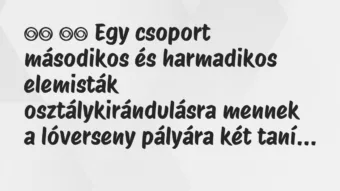 Viccek:
Egy csoport másodikos és harmadikos elemisták… Viccek:
Egy csoport másodikos és harmadikos elemisták…