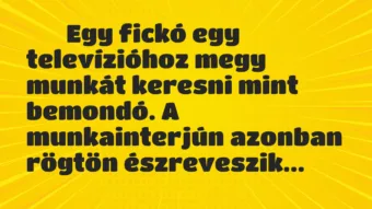 Viccek: 
		  
		  Egy fickó egy televízióhoz megy munkát keresni…