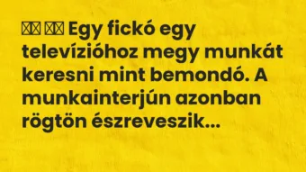 Viccek:
Egy fickó egy televízióhoz megy munkát keresni… Viccek:
Egy fickó egy televízióhoz megy munkát keresni…