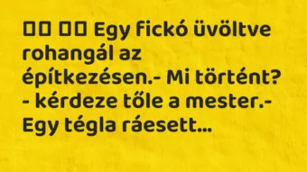 Viccek: 
		  
		  Egy fickó üvöltve rohangál az építkezésen.-…