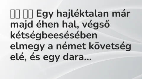Viccek: 
		  
		  Egy hajléktalan már majd éhen hal, végső…