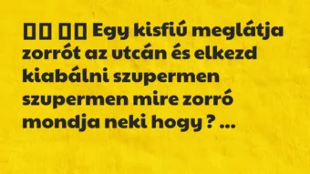 Viccek: 
		  
		  Egy kisfiú meglátja zorrót az utcán és elkezd…