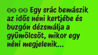 Viccek:
Egy srác bemászik az idős néni kertjébe és buzgón… Viccek:
Egy srác bemászik az idős néni kertjébe és buzgón…