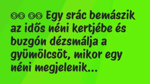 Viccek: 
		  
		  Egy srác bemászik az idős néni kertjébe és buzgón…