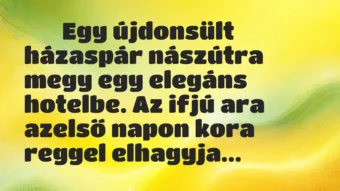 Viccek: 
		  
		  Egy újdonsült házaspár nászútra megy egy elegáns …