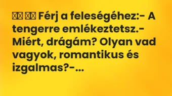 Viccek: 
		  
		  Férj a feleségéhez:- A tengerre…