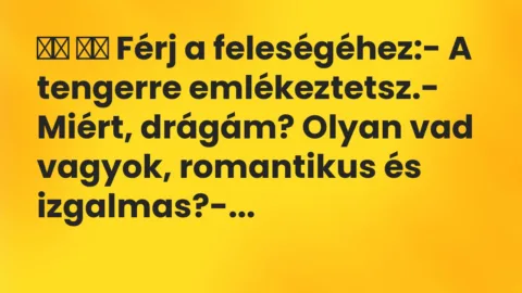 Viccek: 
		  
		  Férj a feleségéhez:- A tengerre…