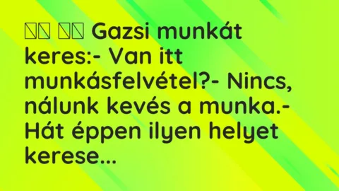 Viccek: 
		  
		  Gazsi munkát keres:- Van itt…